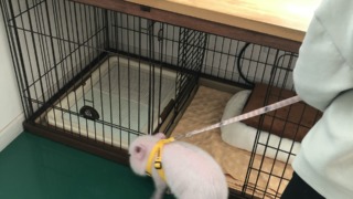 Thumbnail of post image 016