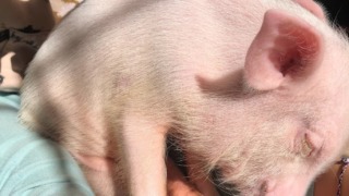 Thumbnail of post image 091