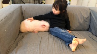 Thumbnail of post image 061