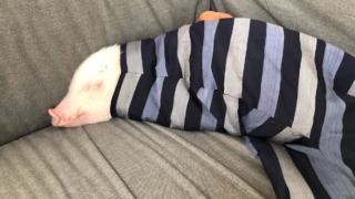 Thumbnail of post image 156