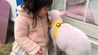 Thumbnail of post image 033