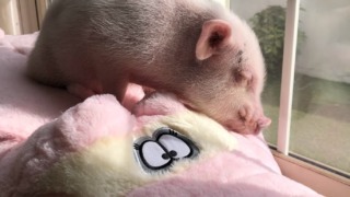 Thumbnail of post image 160