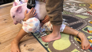 Thumbnail of post image 017