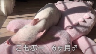 Thumbnail of post image 058