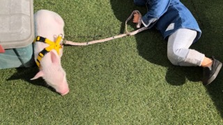 Thumbnail of post image 041