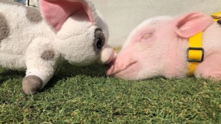 Thumbnail of post image 095