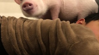 Thumbnail of post image 035