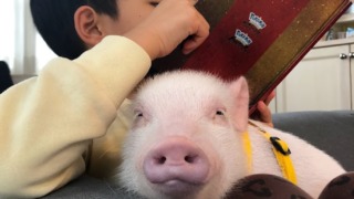 Thumbnail of post image 081