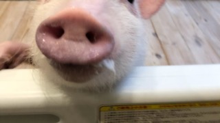 Thumbnail of post image 141