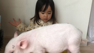 Thumbnail of post image 014