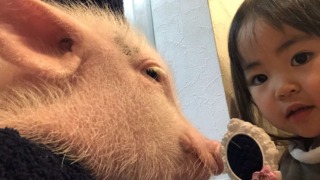 Thumbnail of post image 152