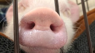 Thumbnail of post image 089