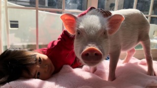 Thumbnail of post image 169