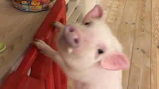 Thumbnail of post image 012