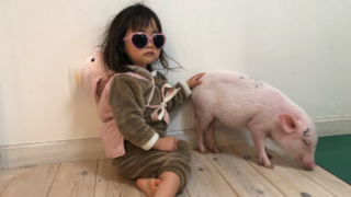 Thumbnail of post image 143