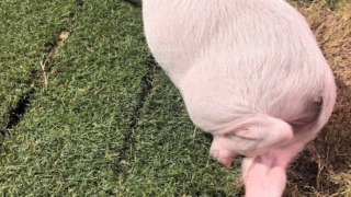 Thumbnail of post image 171