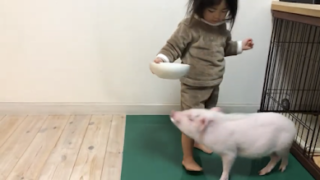 Thumbnail of post image 187