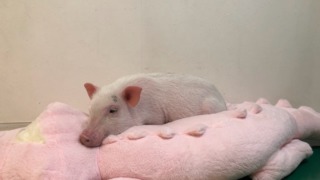 Thumbnail of post image 073