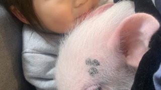 Thumbnail of post image 011