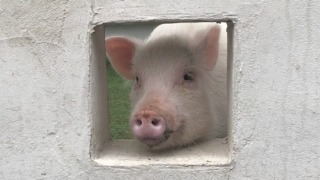 Thumbnail of post image 109