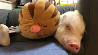 Thumbnail of post image 052