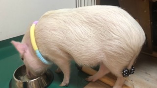 Thumbnail of post image 194