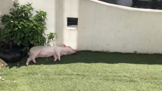 Thumbnail of post image 010