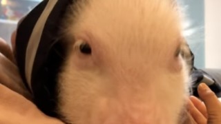 Thumbnail of post image 079